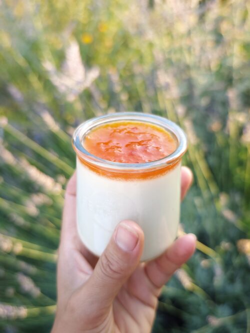 Panna cotta al cocco